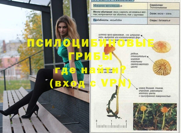 шишки Абинск