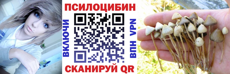 Галлюциногенные грибы Psilocybine cubensis  Донской 